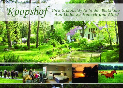 Sternenhimmel Apartment Bleckede Bagian luar foto